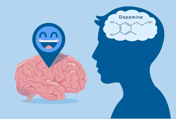 Dopamiinin Puute: Syyt, Oireet ja Hoitovaihtoehdot